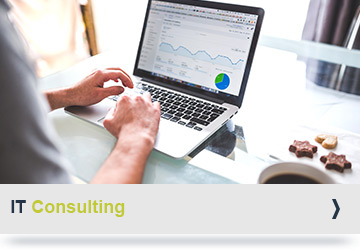 IT Consulting